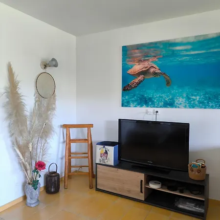 Havre De Paix T3 Vue * Конка