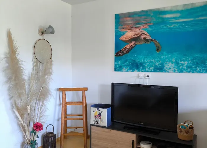 Havre De Paix T3 Vue * Conca